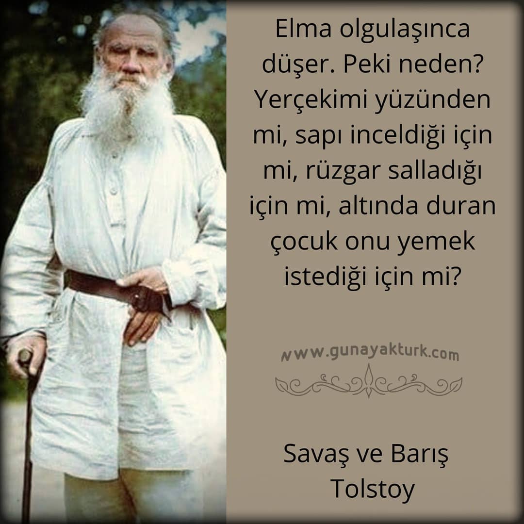 tolstoy ve elma tolstoy ve elma