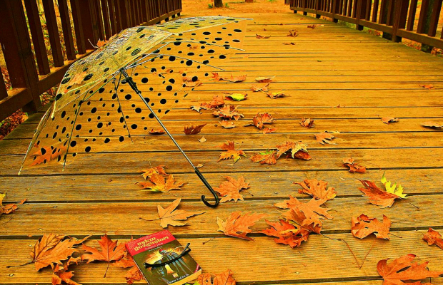 kadın makalesi kadın makalesi