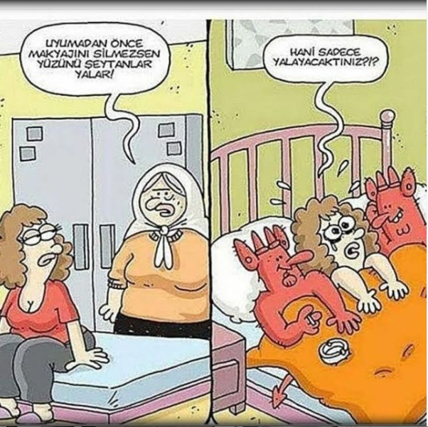 Beynin Geviş Getirmesi Beynin Geviş Getirmesi